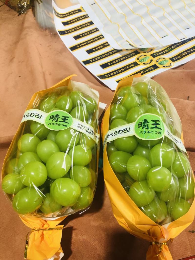 【品质】阳光玫瑰基地直发高品质货源对接市场商超