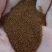 葶苈子种子，可以绿化，观赏，还可以养殖，一种多用途