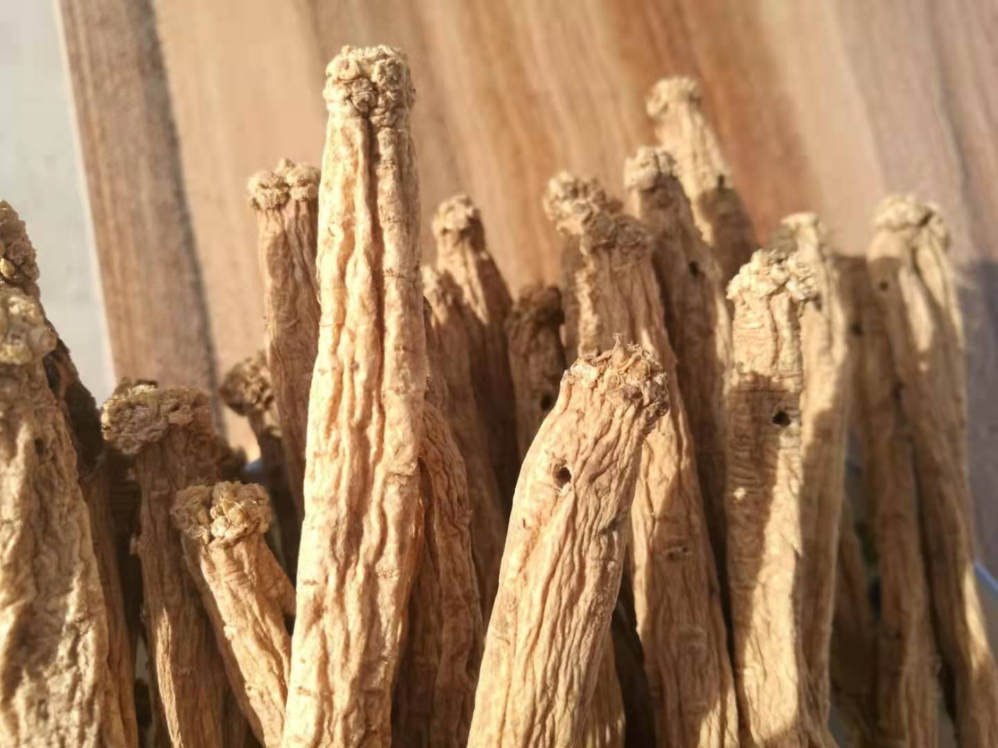 展示干燥处理后的黄芩根茎,质地坚硬,表面呈黄褐色 黄芩药材图