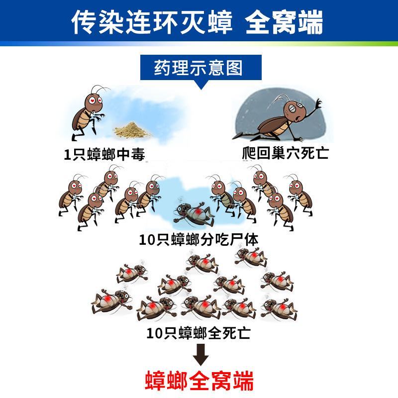 达豪3克强力灭蟑清批发杀蟑饵剂除蟑螂药粉剂神器