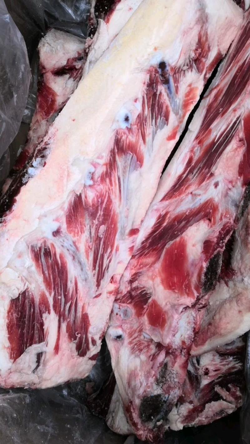 多肉牛胸骨，牛小排带肉多纯干无水，50斤即可享受批发价