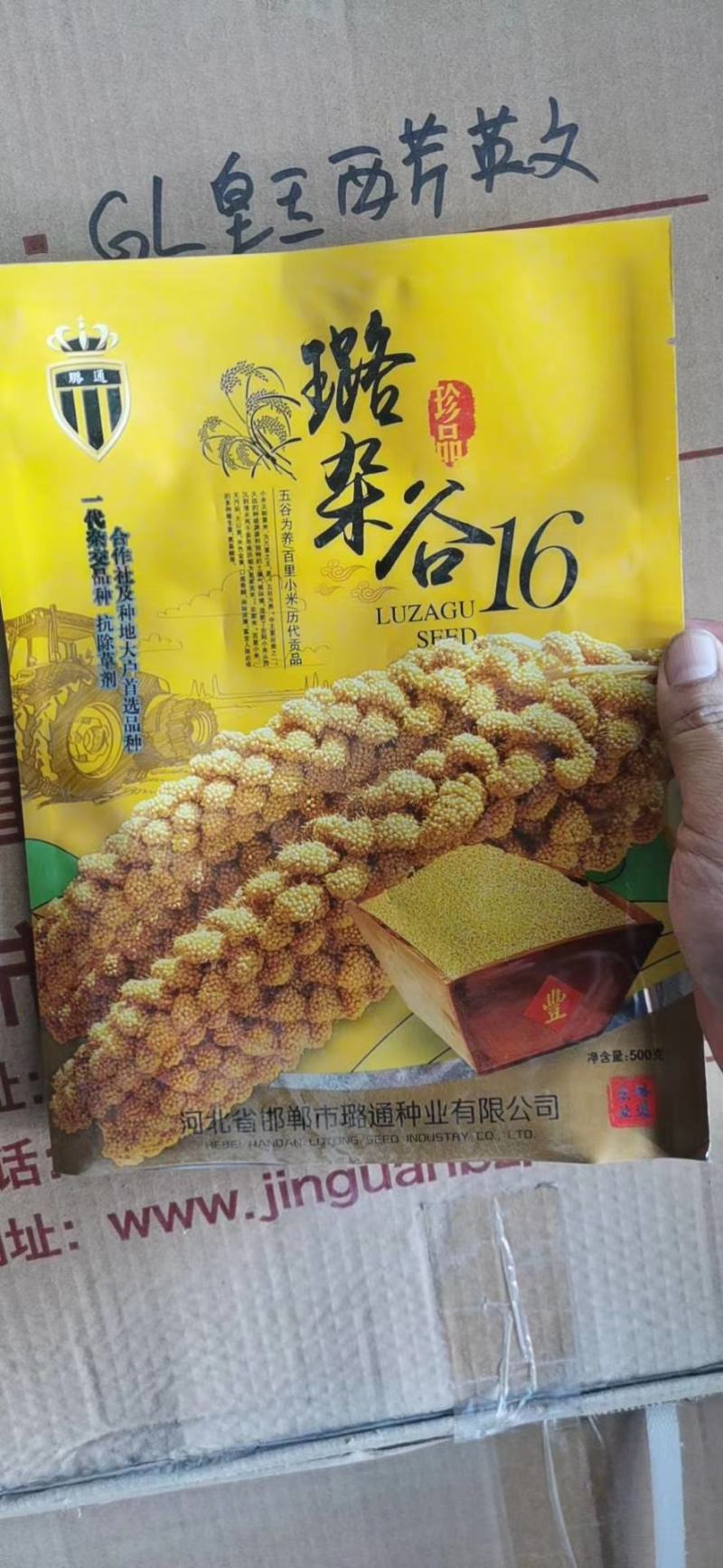 璐杂16