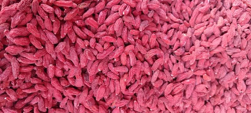 宁夏枸杞各地枸杞