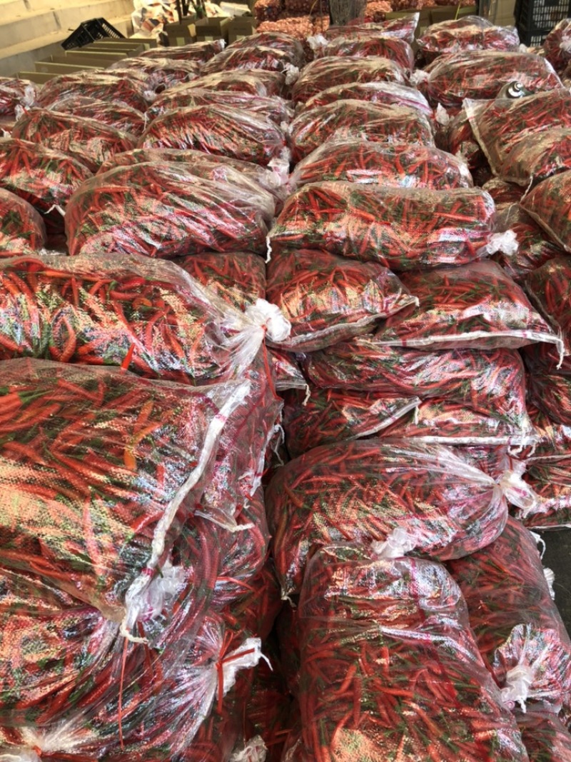 鲜小米辣椒高辣！产地直发一手好货源！颜色质量保证