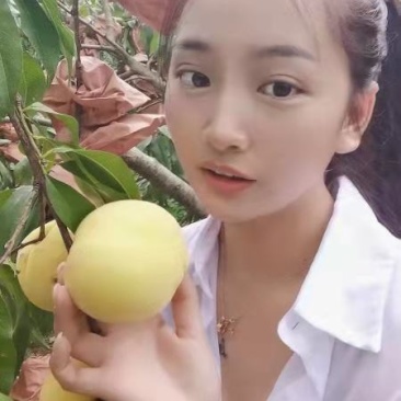冬桃