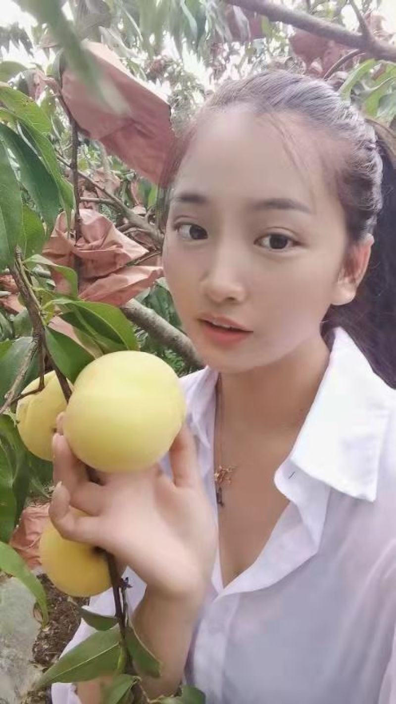 冬桃