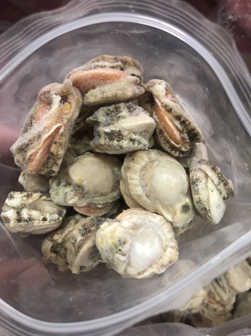 产地直销超大现剥扇贝肉当天发货不带冰衣带黄火锅店