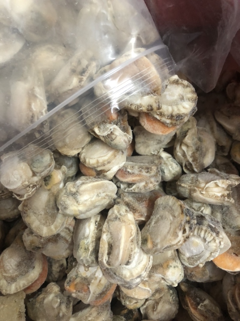 产地直销超大现剥扇贝肉当天发货不带冰衣带黄火锅店