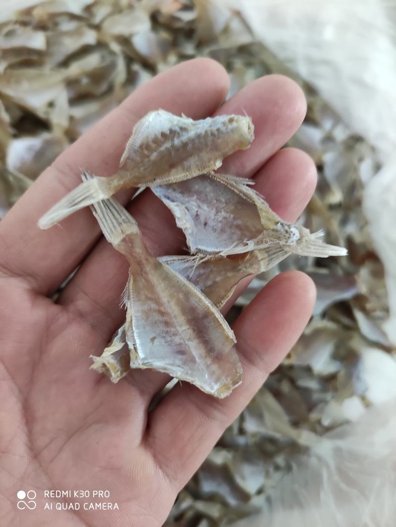 耗儿鱼干淡口