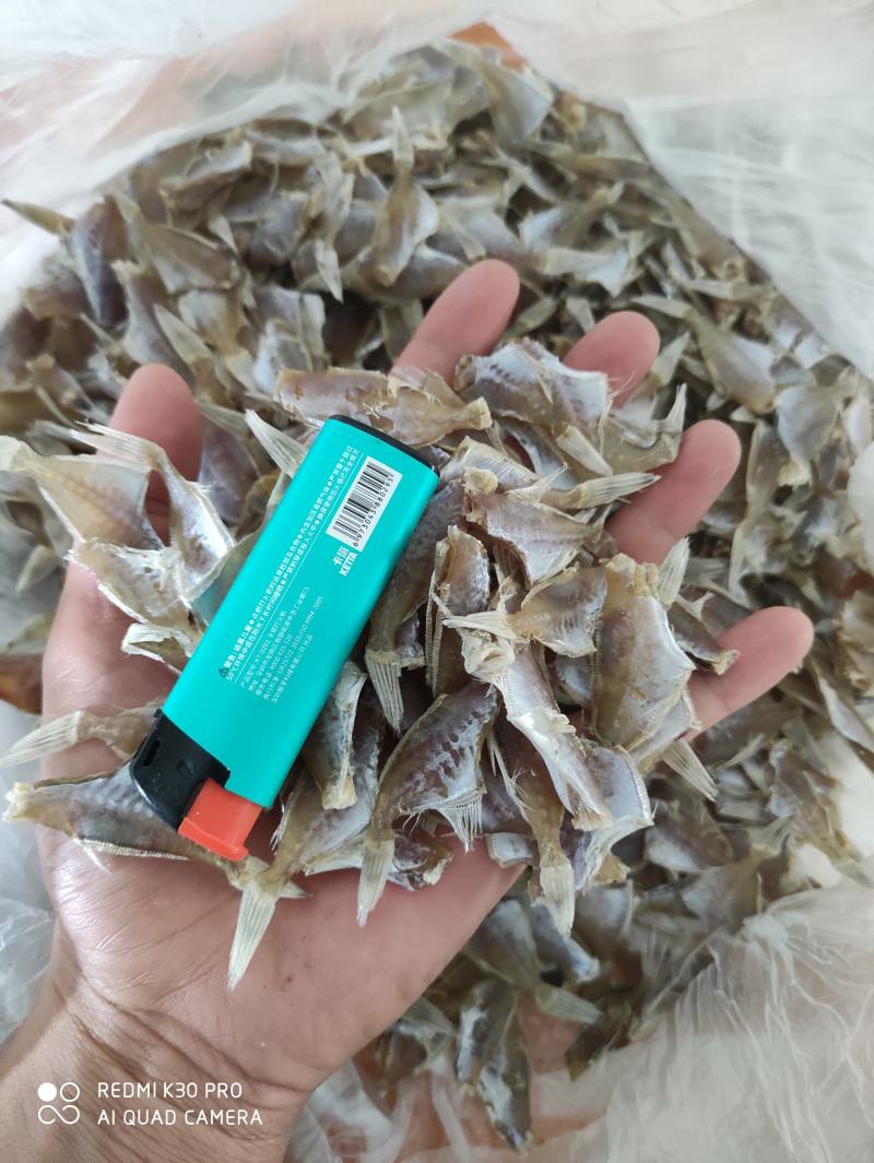 耗儿鱼干淡口