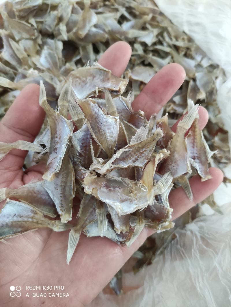 耗儿鱼干淡口