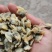 鱼肥养殖用花甲肉油甲肉北海20斤/袋