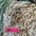 鱼肥养殖用花甲肉油甲肉北海20斤/袋
