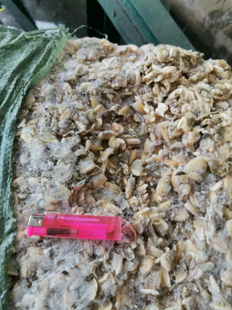 鱼肥养殖用花甲肉油甲肉北海20斤/袋