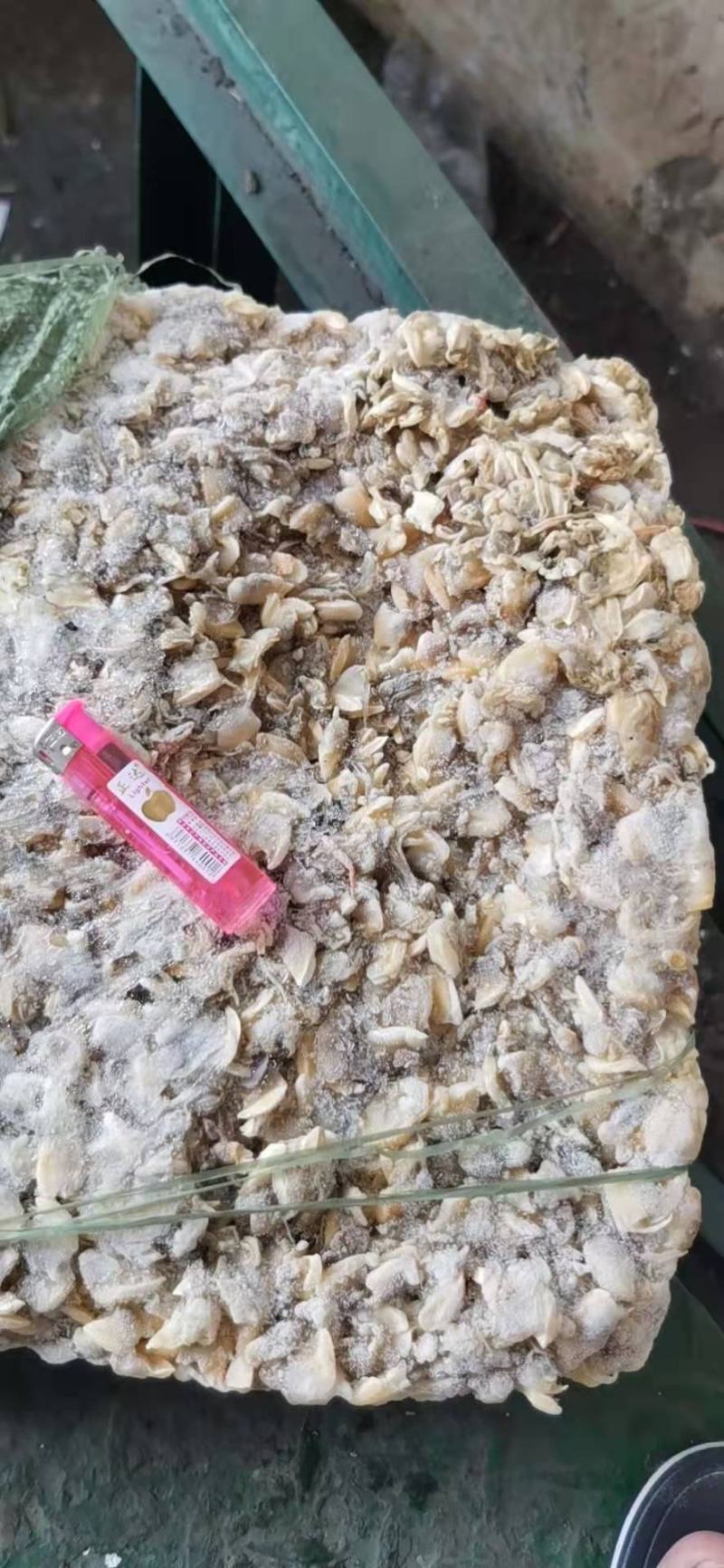 鱼肥养殖用花甲肉油甲肉北海20斤/袋