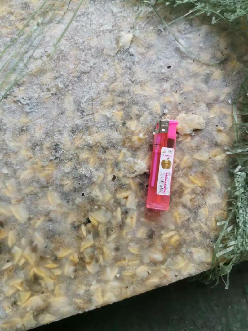 鱼肥养殖用花甲肉油甲肉北海20斤/袋