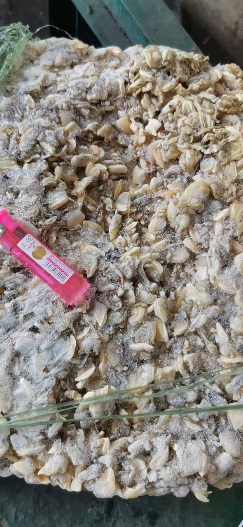 鱼肥养殖用花甲肉油甲肉北海20斤/袋