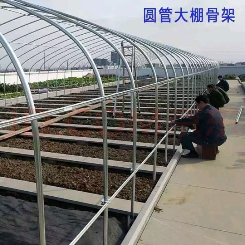 新型养殖大棚包塑管养牛棚热镀锌管养羊棚全国发货