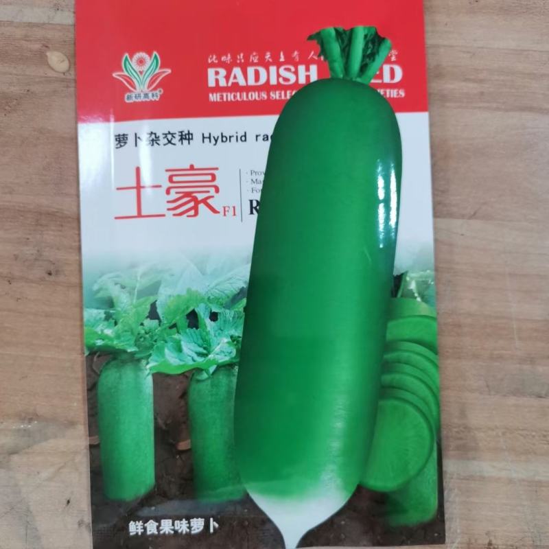 杂交一代水果萝卜种子口感清爽脆甜个头均匀整齐度高品质好
