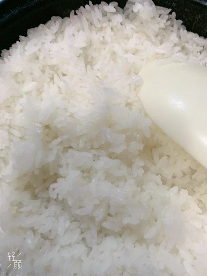 多彩贵州特产(陈爱民)高峰十里香大米长籼米