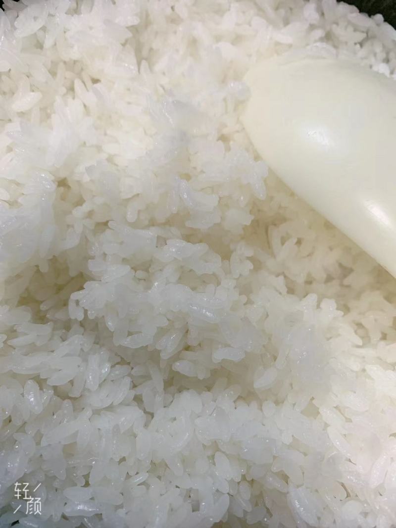 多彩贵州特产(陈爱民)高峰十里香大米长籼米