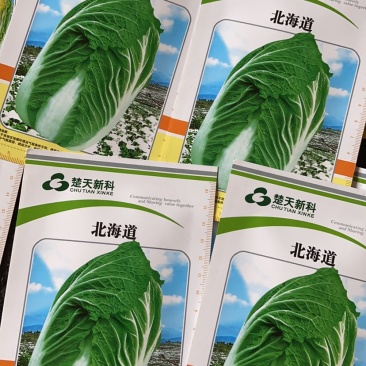 越冬白菜种子～北海道黄芯菜