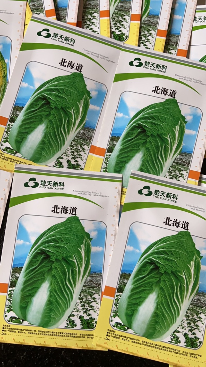 越冬白菜种子～北海道黄芯菜