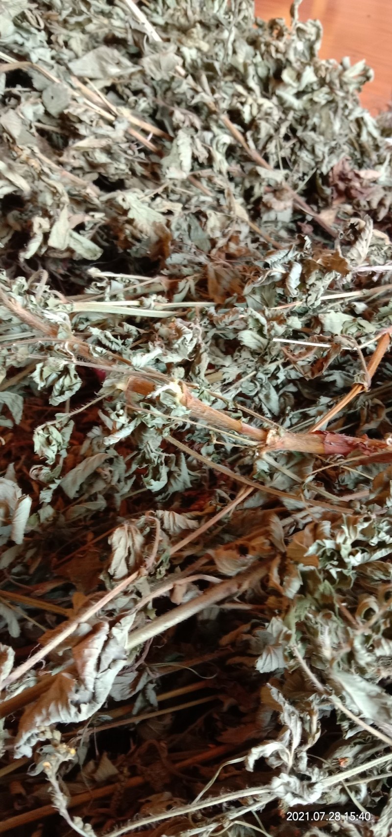 纯野生新货仙鹤草，大货大量批发零售，欢迎各位的来电