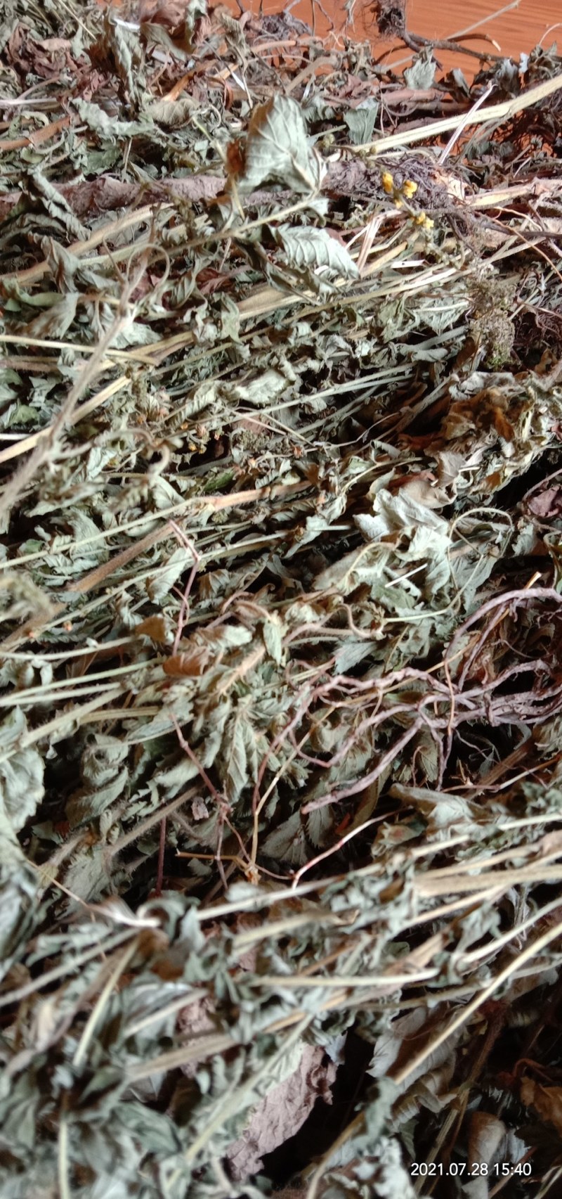 纯野生新货仙鹤草，大货大量批发零售，欢迎各位的来电