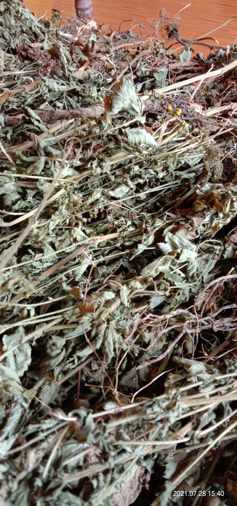纯野生新货仙鹤草，大货大量批发零售，欢迎各位的来电