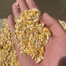 碎玉米，可降低鸡鸭鹅成本，量大，无土无沙无霉变