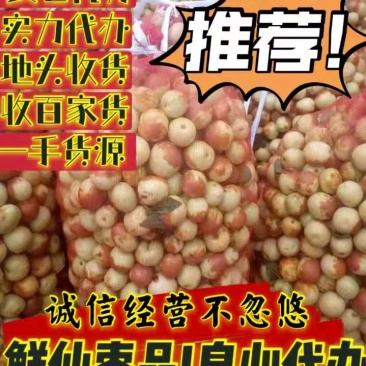早熟冬枣脆甜鲜枣早脆王山东地头收百家货手摘脆甜良心代收