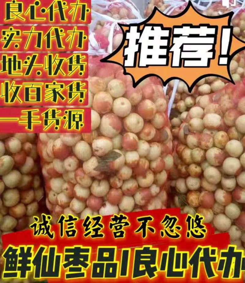 早熟冬枣脆甜鲜枣早脆王山东地头收百家货手摘脆甜良心代收