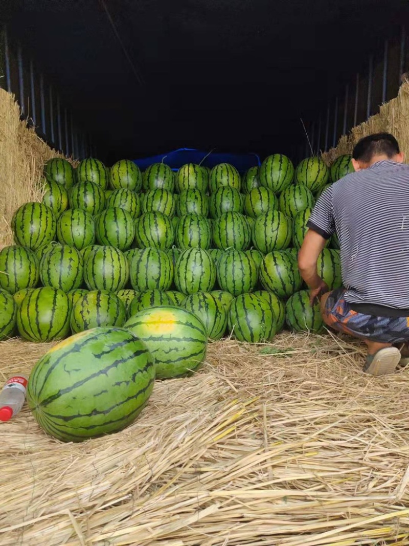 庆红西瓜，大量上市价格优惠品种齐全欢迎联系