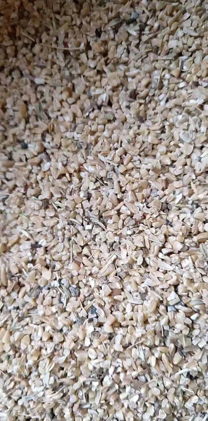 碎小麦，鸡鸭鹅牛羊粮，可降低成本，厂家大量出货量大从优。