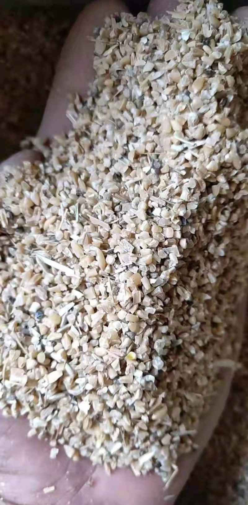 碎小麦，鸡鸭鹅牛羊粮，可降低成本，厂家大量出货量大从优。