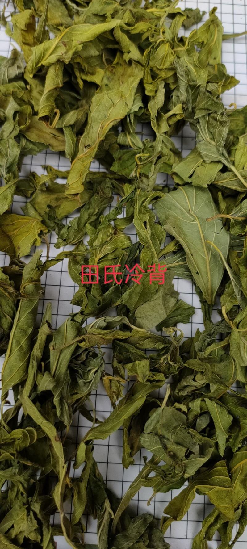 忧遁草干叶，全叶，鳄嘴花黎王草，优遁草野生，今年新货无硫