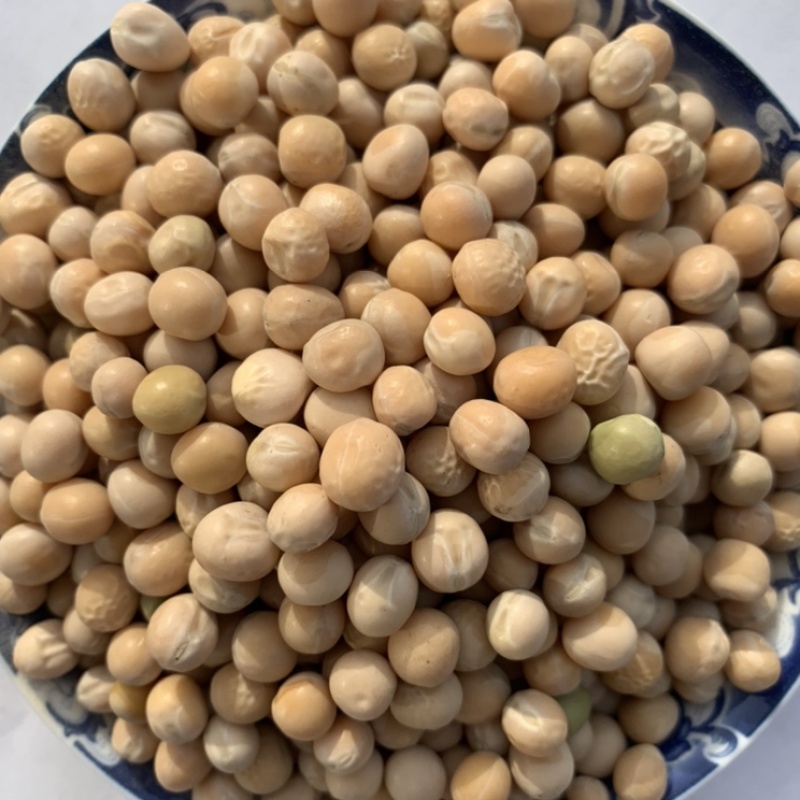 白豌豆黄豆大豆赤豆绿豆红豆麻豌豆