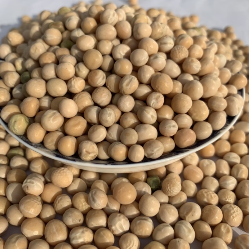 白豌豆黄豆大豆赤豆绿豆红豆麻豌豆