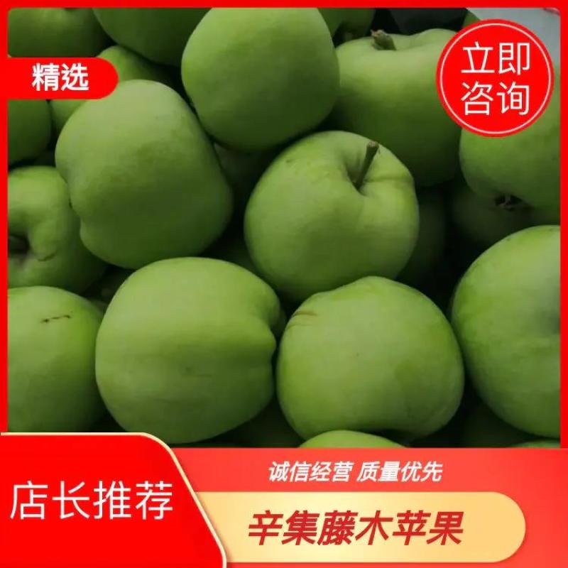 藤木一号，早熟的青苹果，电商供应，产地直供，欢迎新老客户