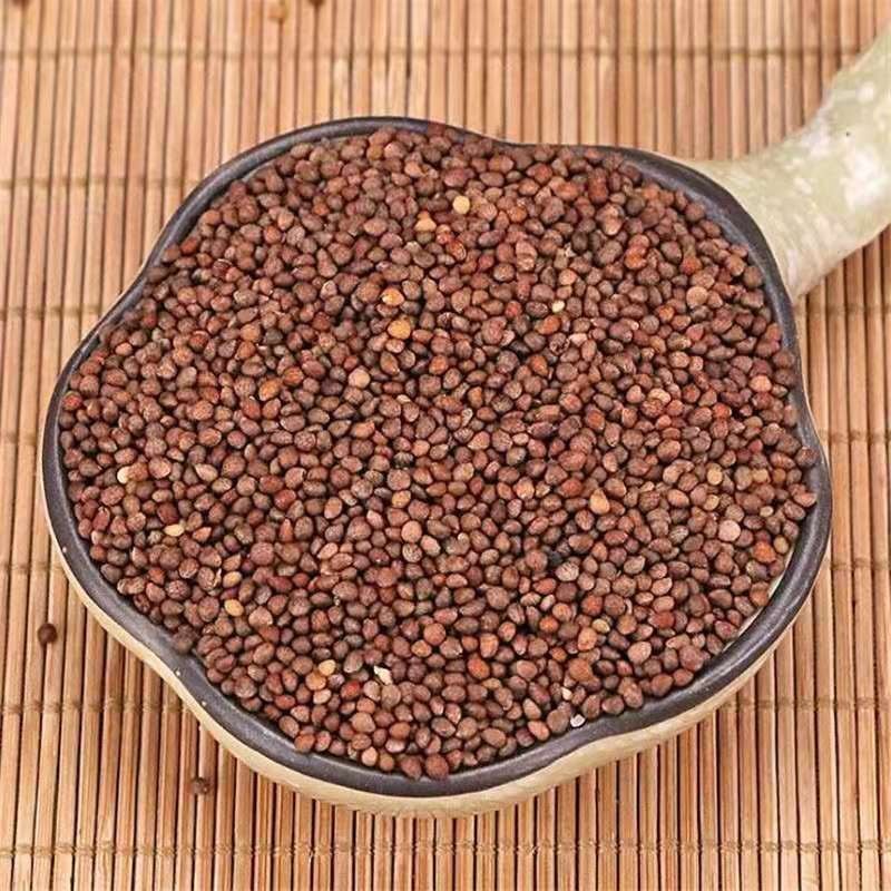 中药材紫苏籽紫苏子非油苏子药用正品中药材店铺大全批发
