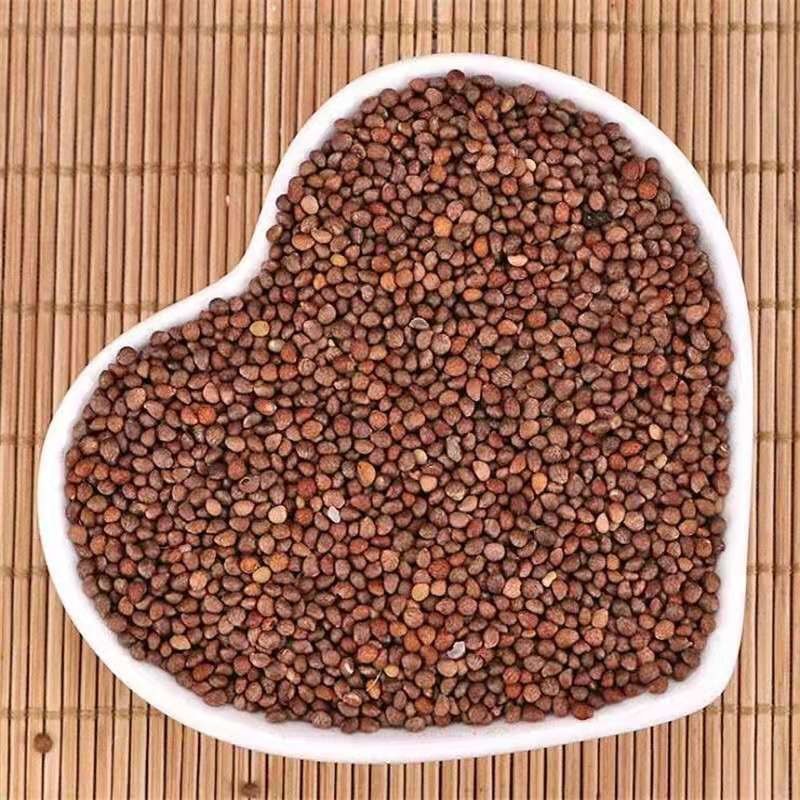 中药材紫苏籽紫苏子非油苏子药用正品中药材店铺大全批发
