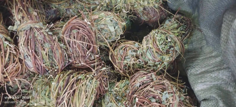 鸡骨草本地7月份新货无硫磺纯生大部分有叶特级青绿省内包