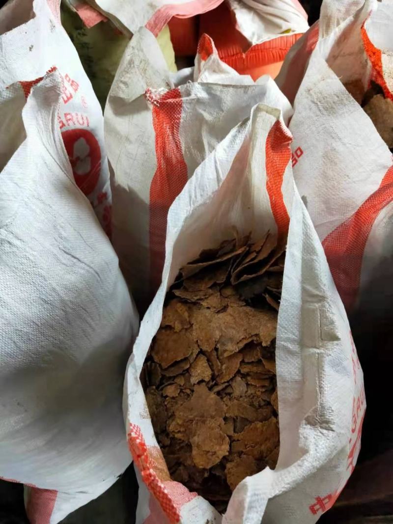 菜籽饼黄饼油枯饼肥料饲料种菜品质好欢迎订购咨询