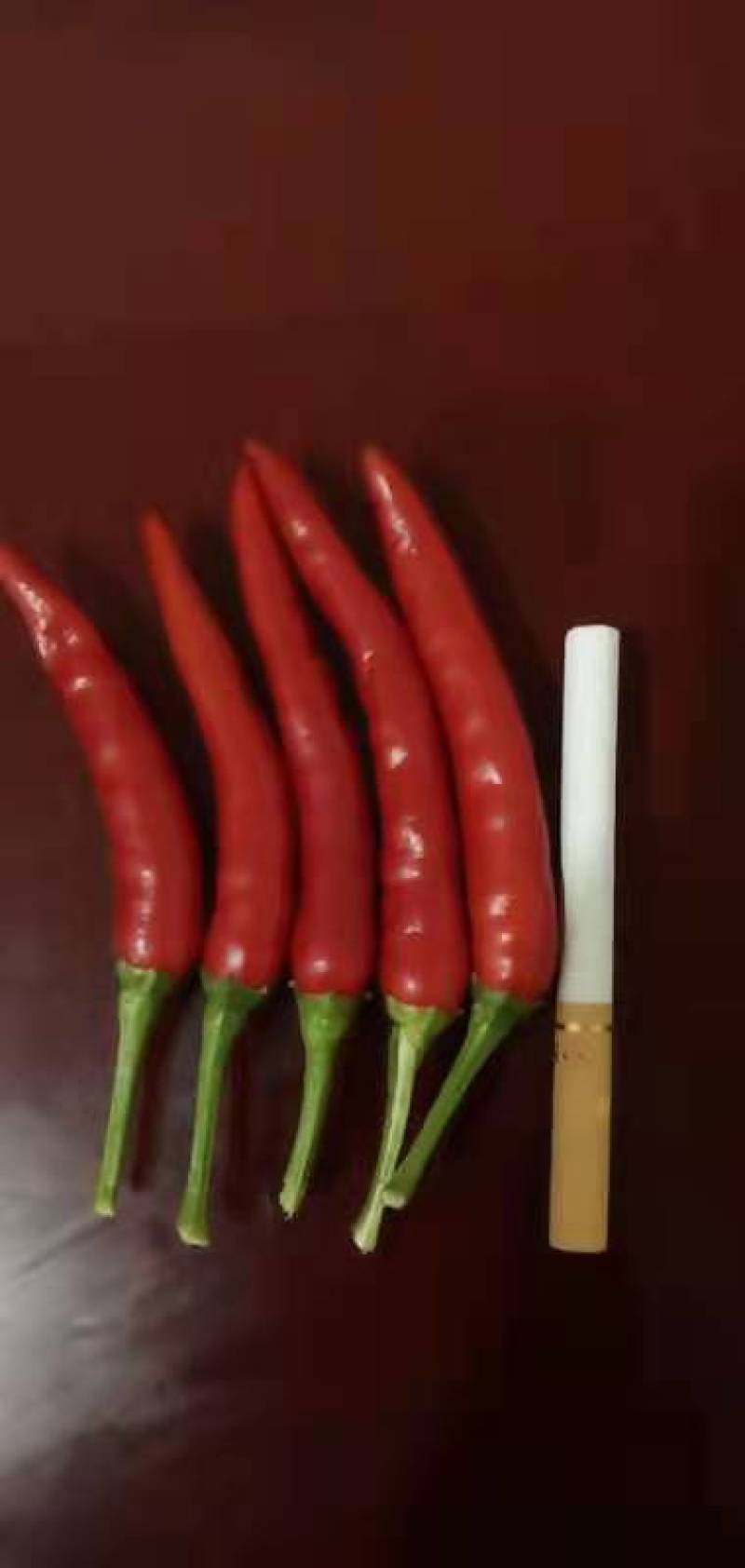 艳椒大量上市，10公分长，