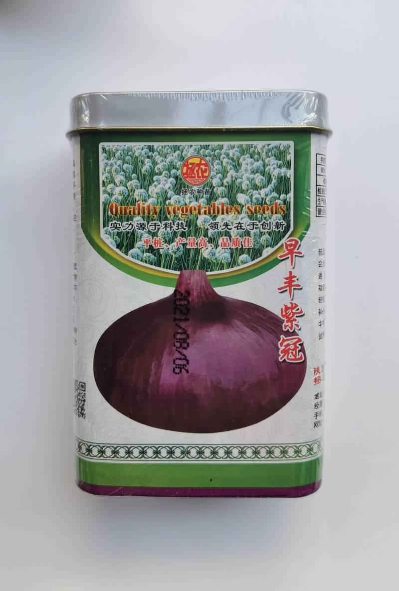 早熟洋葱种子，早丰紫冠，扁平桩，深紫皮抗病高产，提前上市