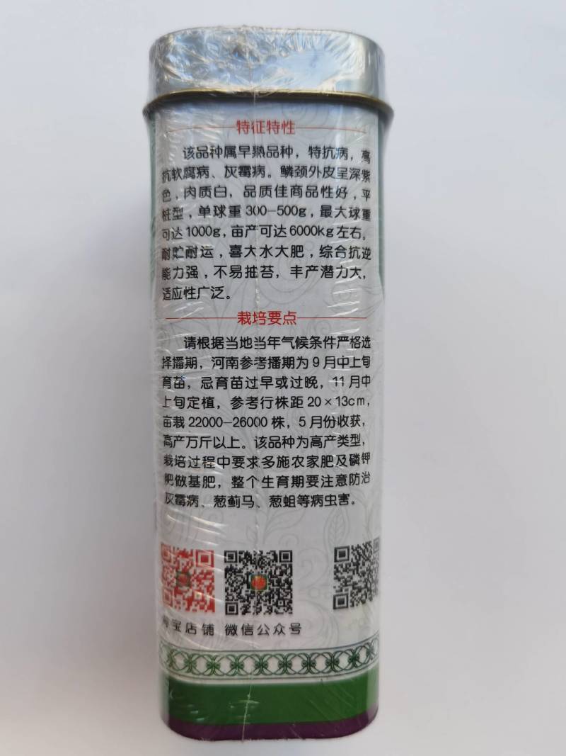 早熟洋葱种子，早丰紫冠，扁平桩，深紫皮抗病高产，提前上市