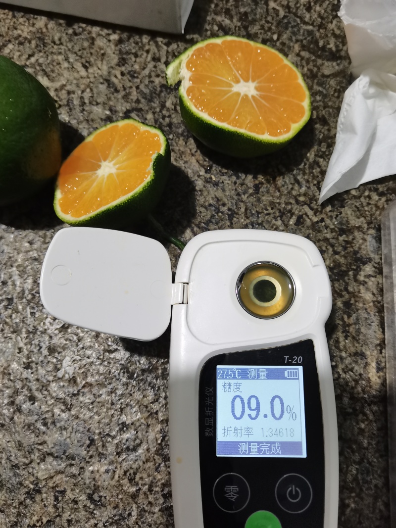 云南盘溪特早熟蜜桔