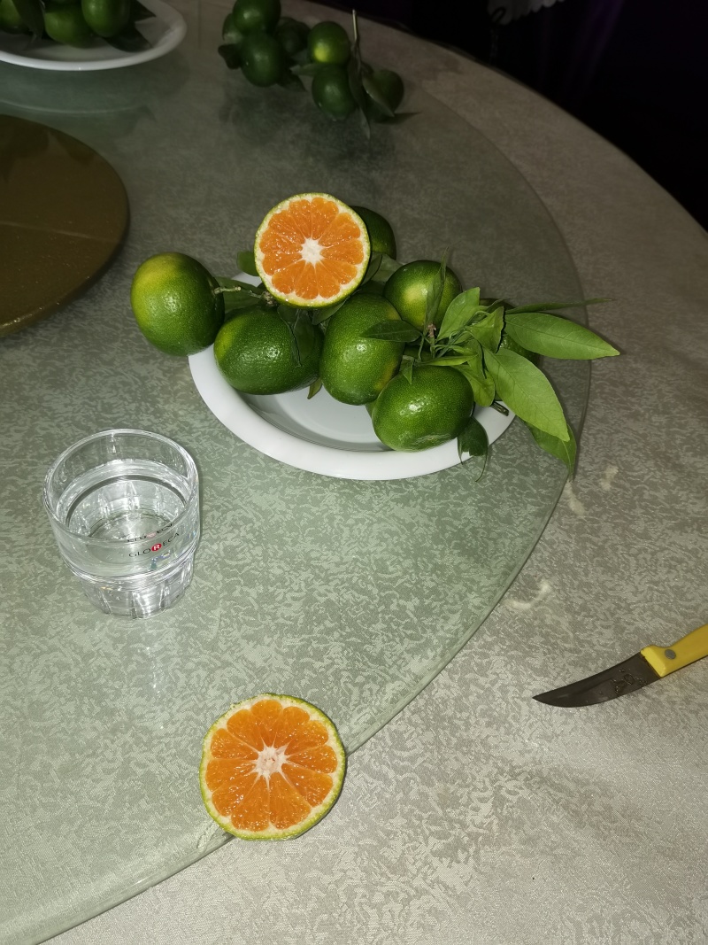 云南盘溪特早熟蜜桔