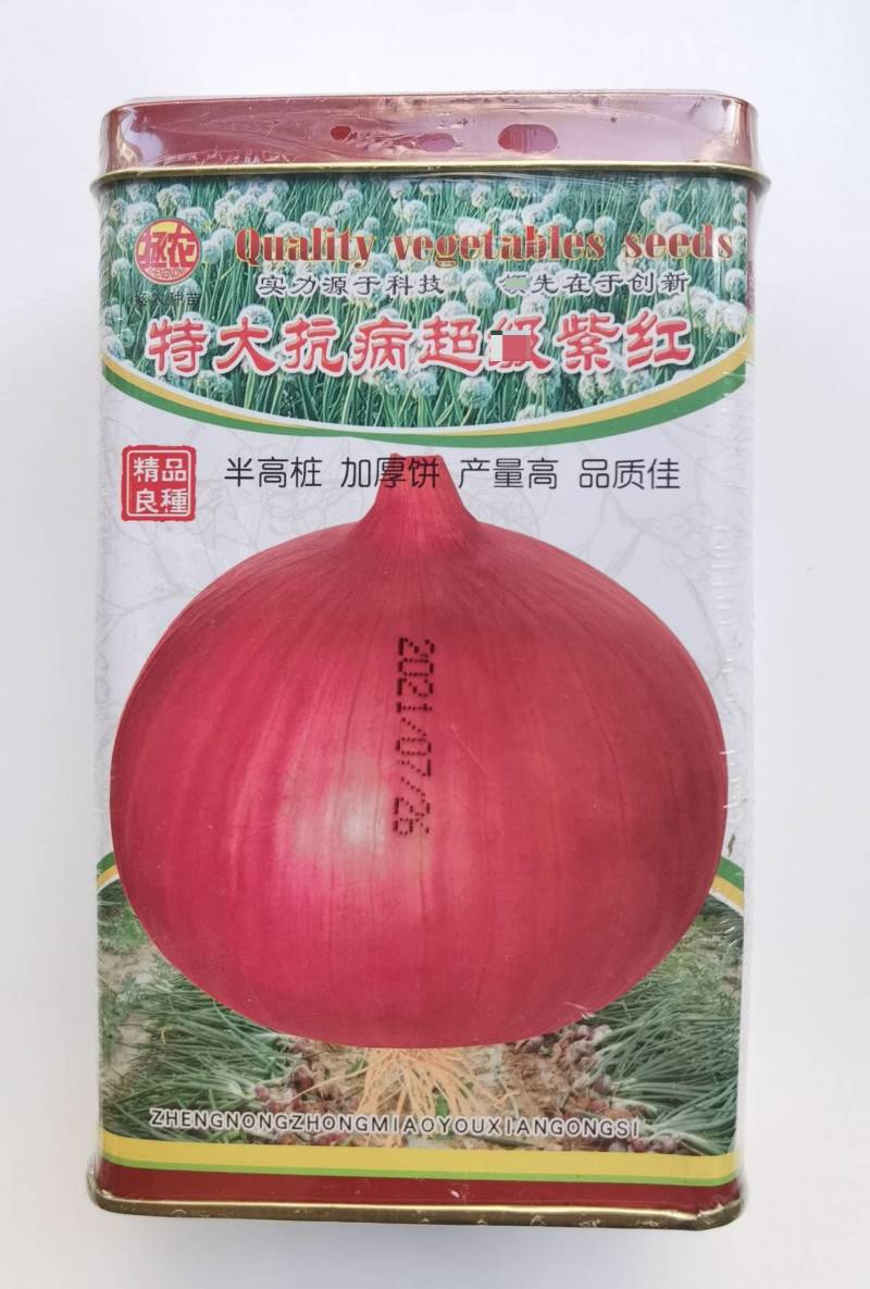 250克二红洋葱种子，半高桩紫红皮，抗病高产，中早熟